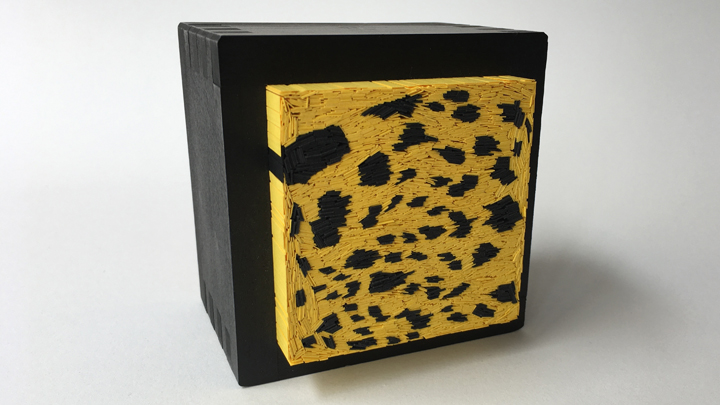 Masu Ayuo fini perspective