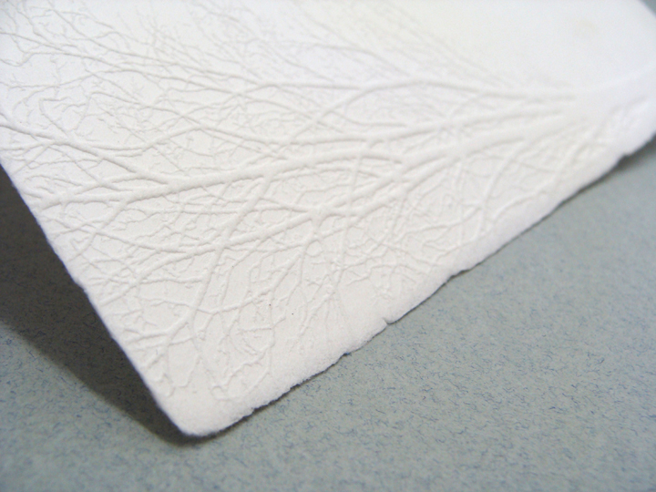 arbre blanc 1 arbre blanc 1