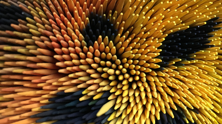 cure dant detail cure dant detail