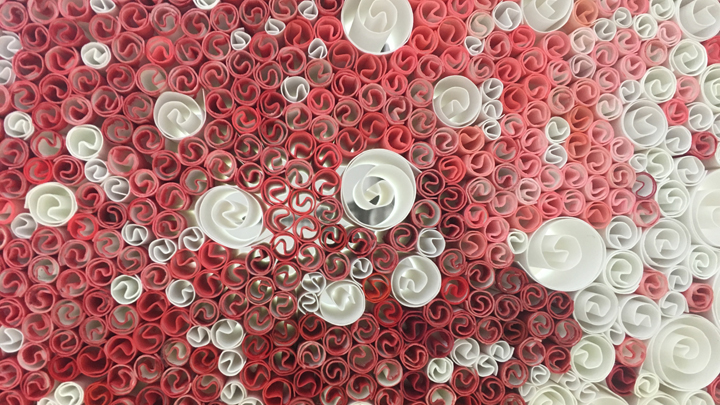 rouleau detail rouge